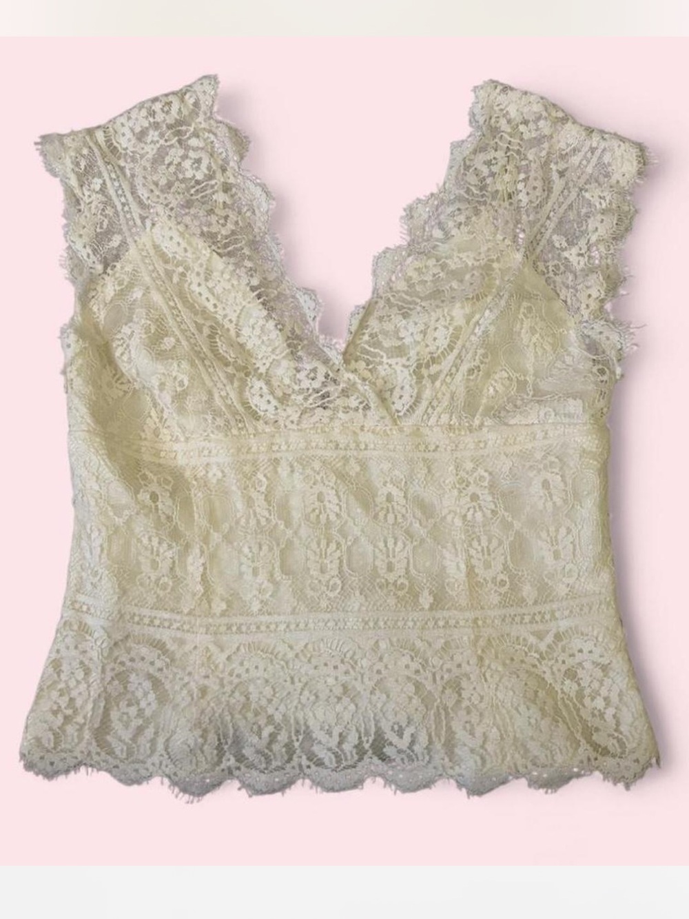 Rare Vintage Watters & Watters Lace Corset Size 10